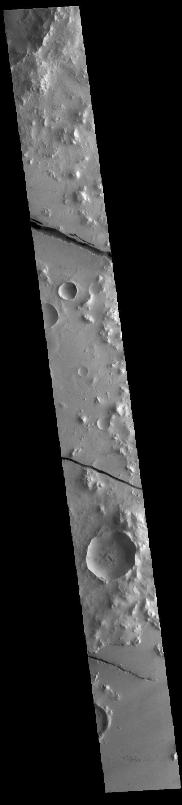 NASA image: Cerberus Fossae