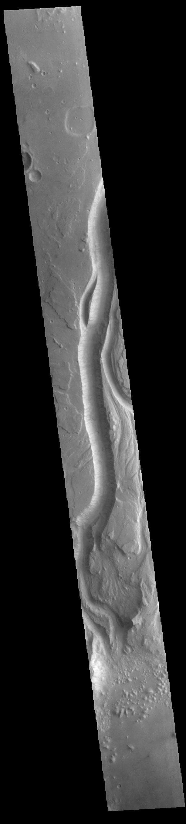 NASA image: Shalbatana Vallis