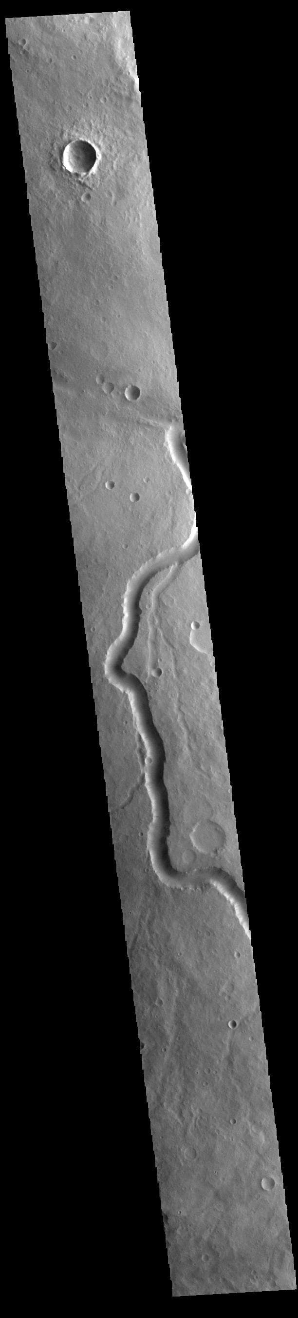 NASA image: Scamander Vallis