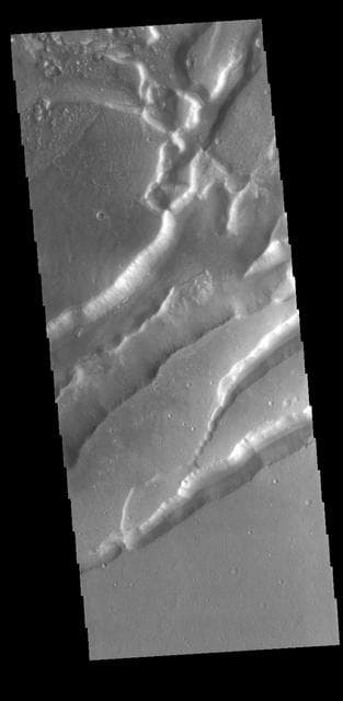 NASA image: Nilokeras Fossa