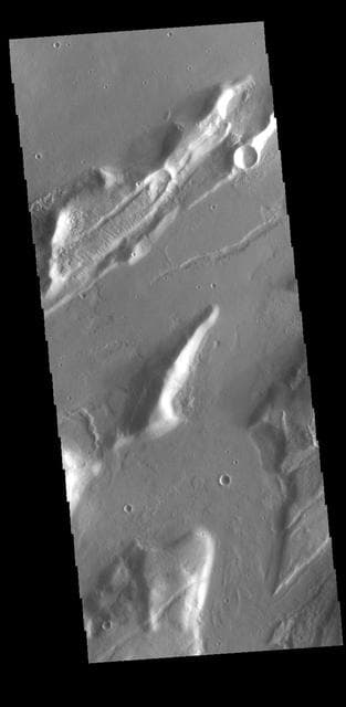 NASA image: Mareotis Fossae
