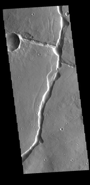 NASA image: Hyblaeus Fossae