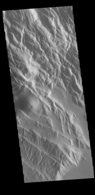 NASA image: Acheron Fossae