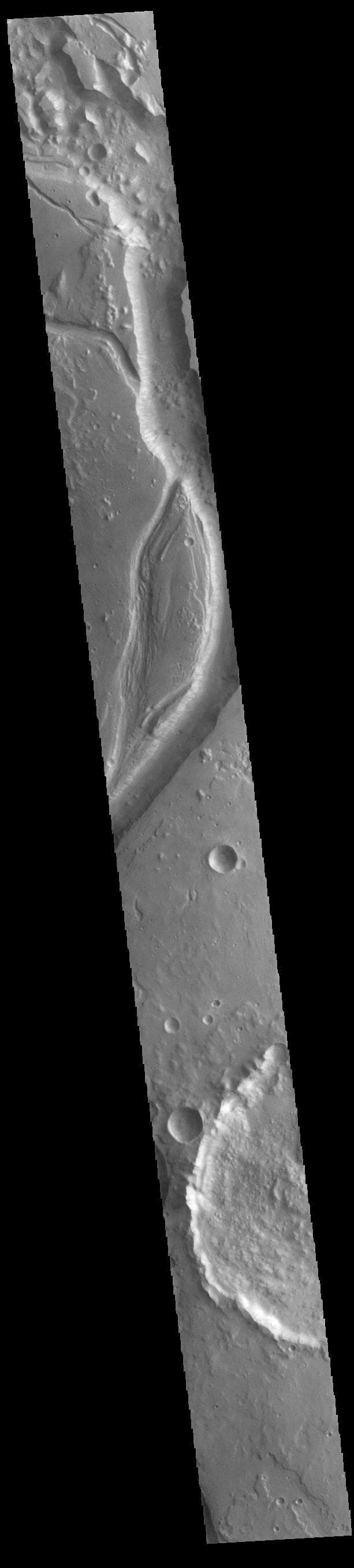 NASA image: Shalbatana Vallis