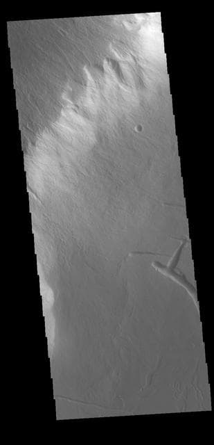 NASA image: Olympus Rupes