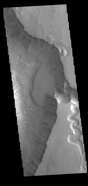 NASA image: Shalbatana Vallis
