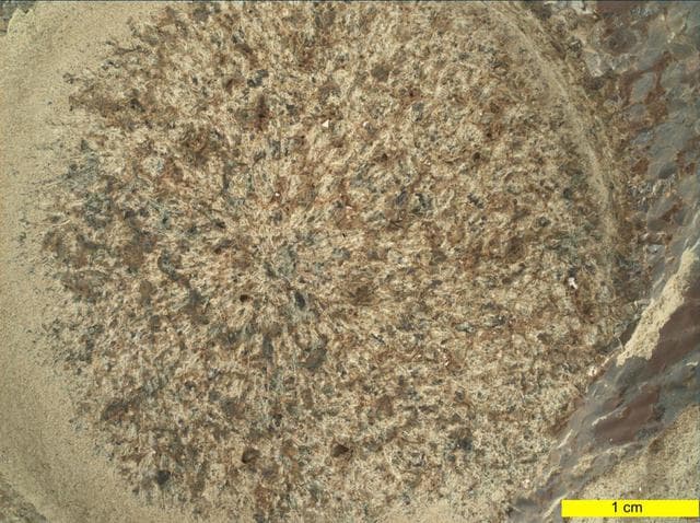 NASA image: WATSON's View of Dourbes in Mars' Jezero Crater