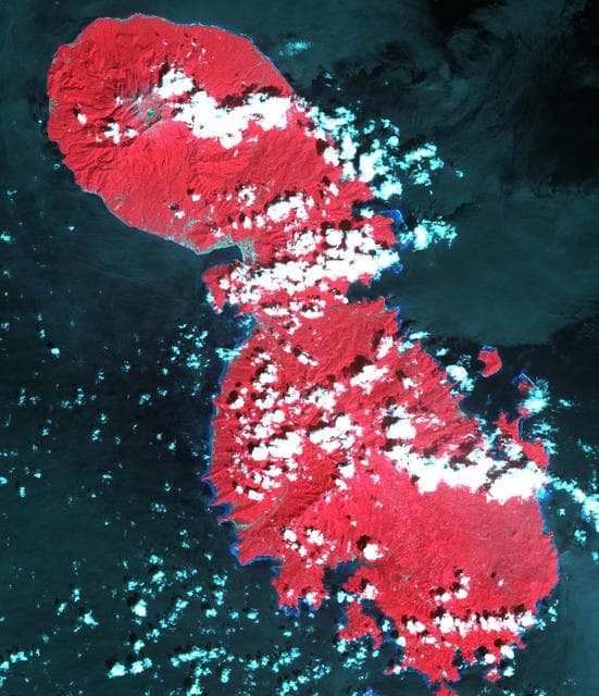 NASA image: Sangihe Island, Indonesia