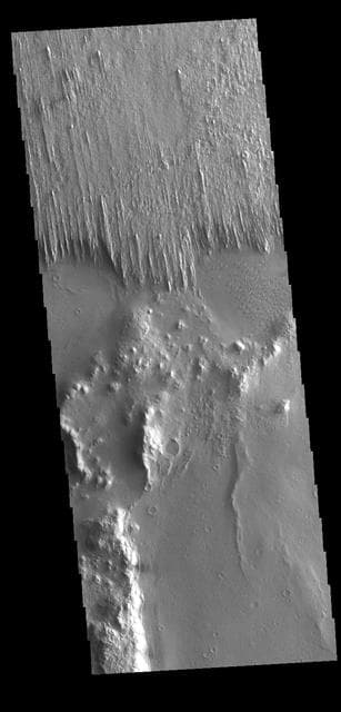 NASA image: Apollinaris Sulci Yardangs