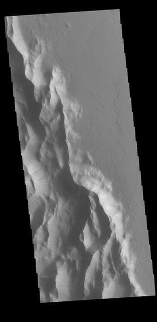 NASA image: Lycus Sulci