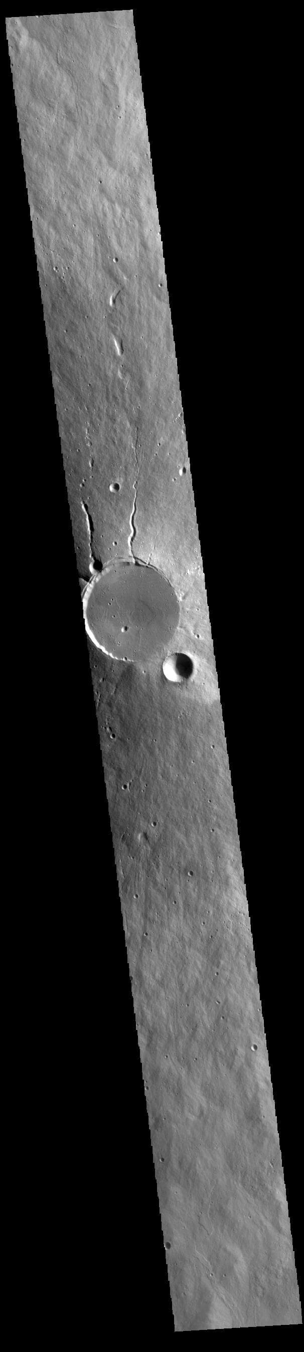 NASA image: Elysium Mons
