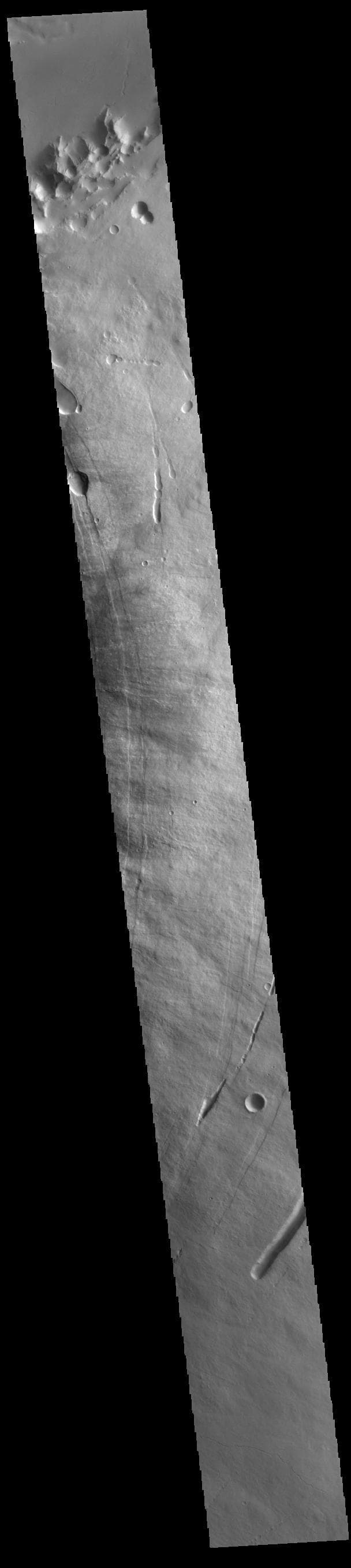 NASA image: Pavonis Mons