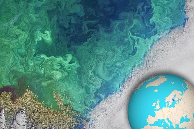 NASA image: Phytoplankton Bloom in the South of Bothnia