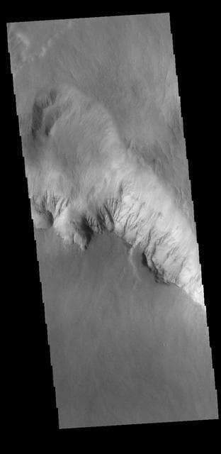 NASA image: Olympus Rupes