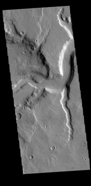 NASA image: Mamers Valles