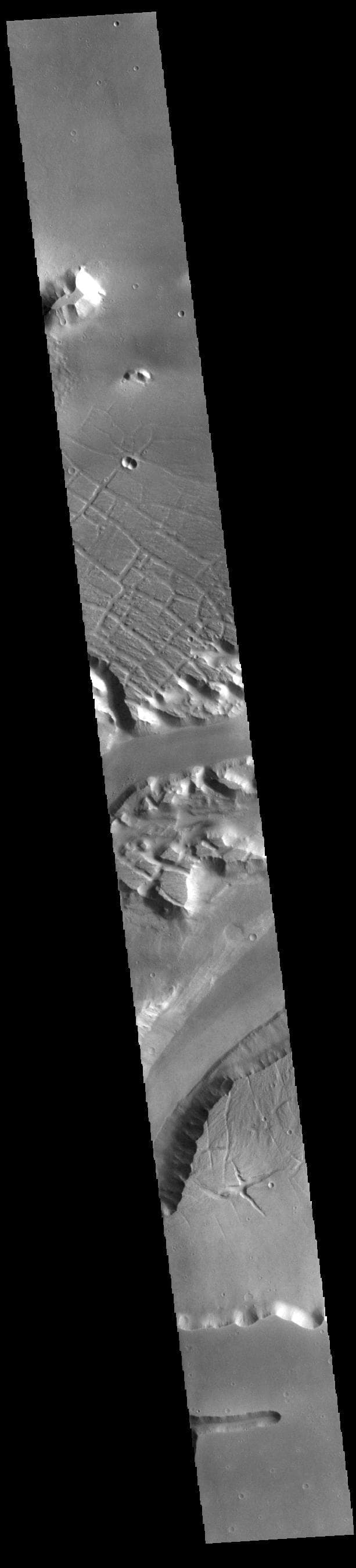 NASA image: Kasei Valles