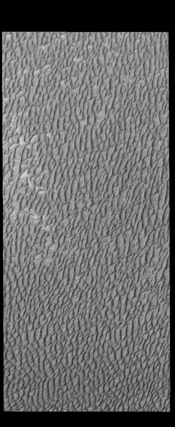 NASA image: Olympia Undae