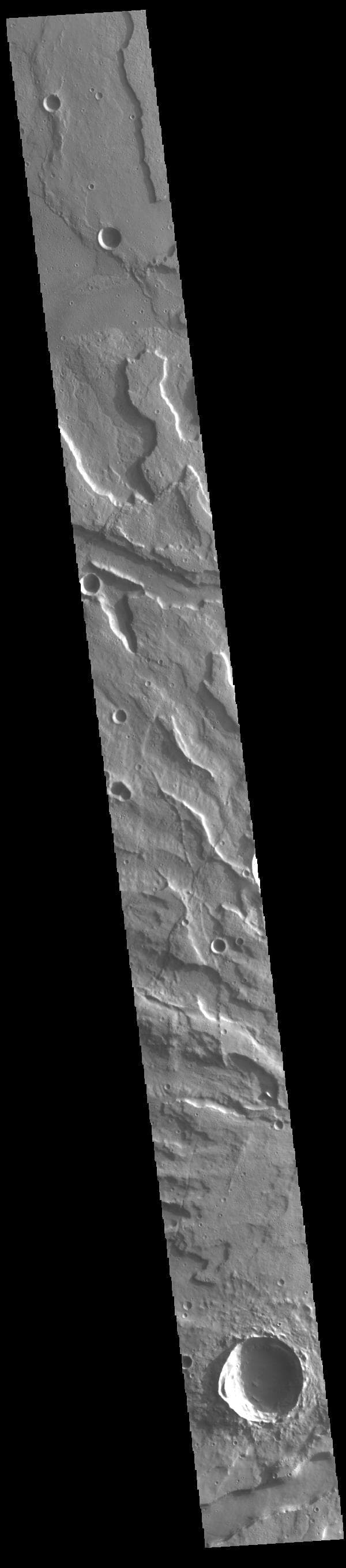 NASA image: Tyrrhenus Mons