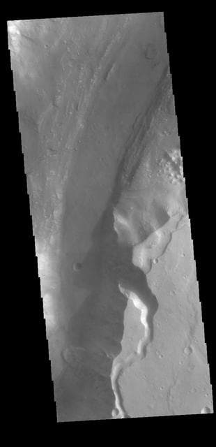 NASA image: Shalbatana Vallis