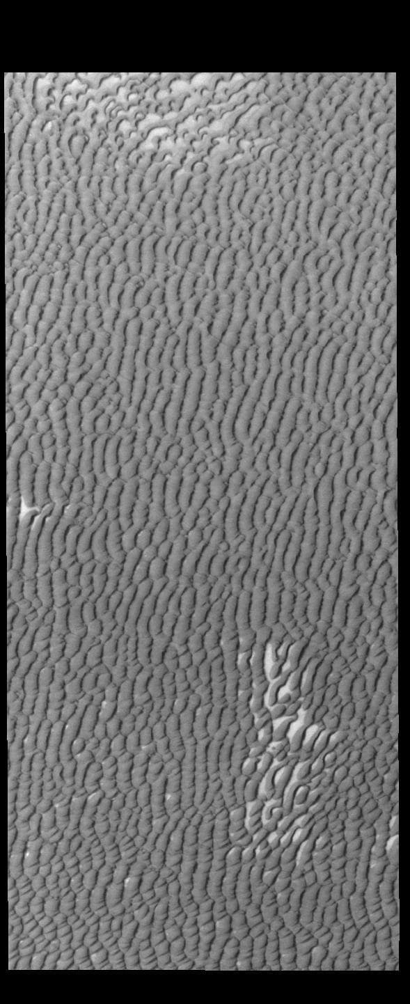 NASA image: Olympia Undae