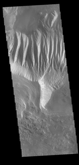NASA image: Eastern Candor Chasma