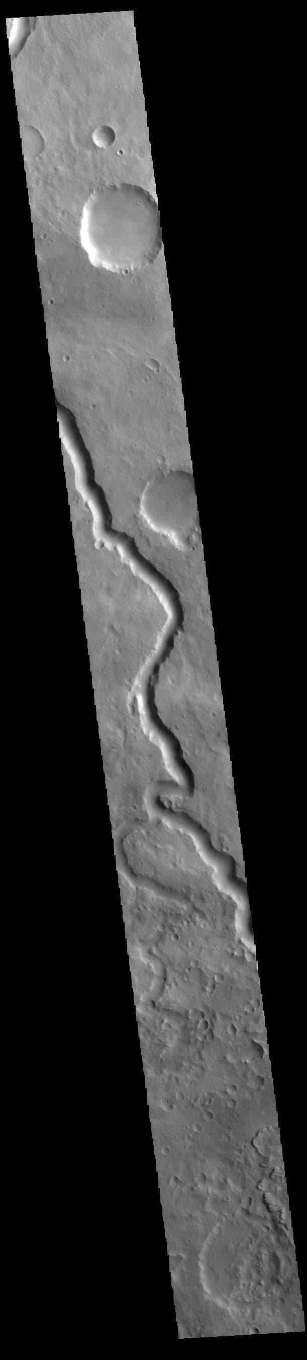NASA image: Scamander Vallis