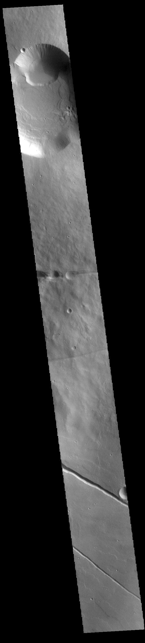 NASA image: Albor Tholus