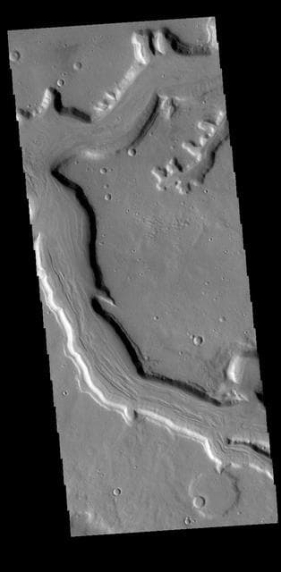 NASA image: Mamers Valles