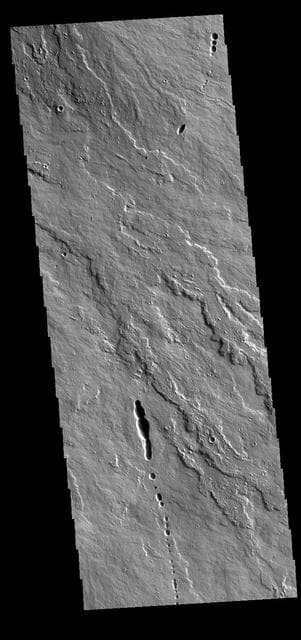 NASA image: Daedalia Planum