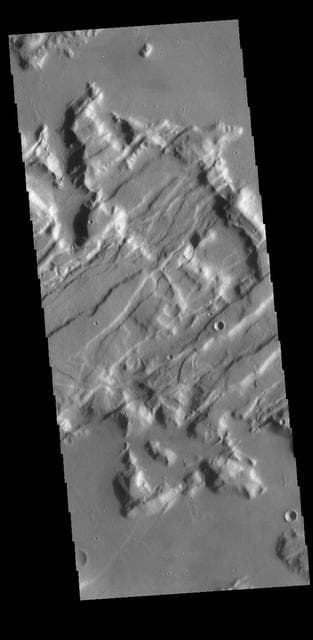 NASA image: Tempe Fossae