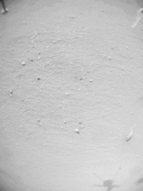 NASA image: Navigation Camera Imagery of Ingenuity's Flight 33