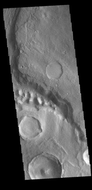 NASA image: Stege Crater - Maja Valles