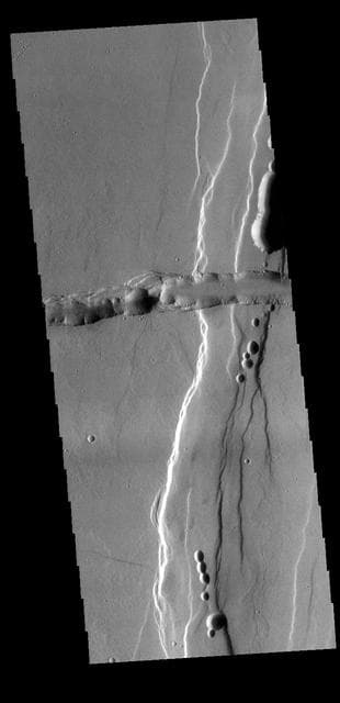 NASA image: Tractus Catena