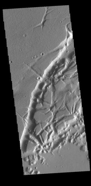 NASA image: Nilus Chaos