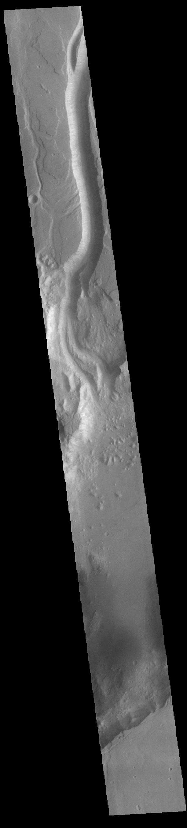 NASA image: Shalbatana Vallis
