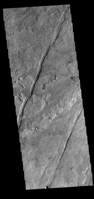 NASA image: Daedalia Planum