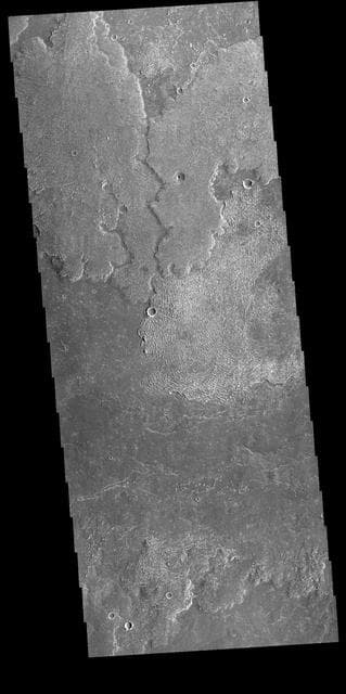 NASA image: Dadalia Planum