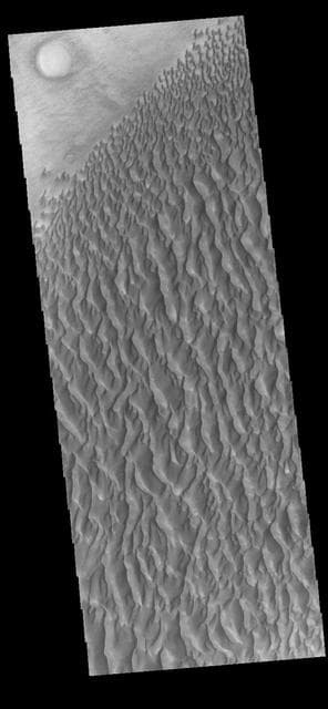 NASA image: Proctor Crater Dunes