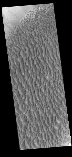 NASA image: Proctor Crater Dunes