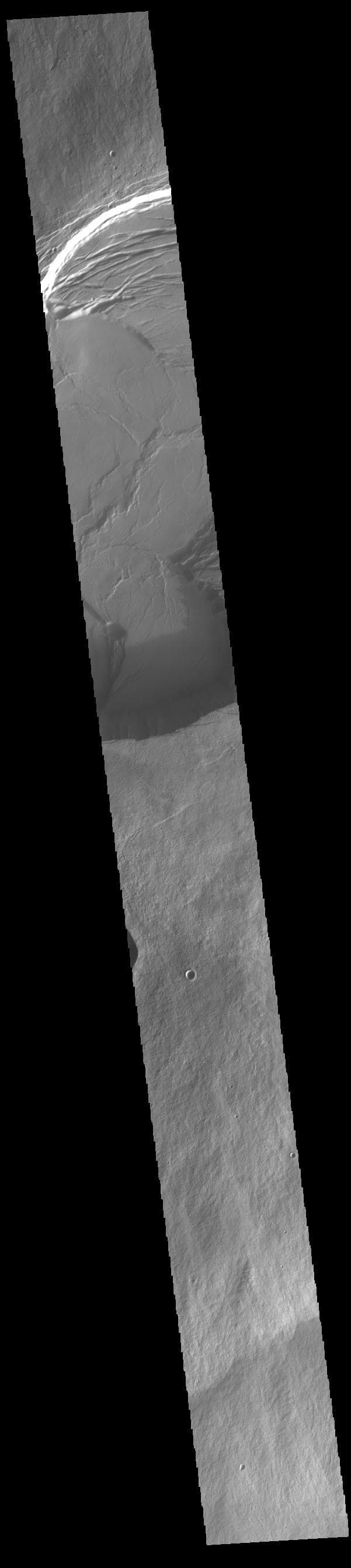 NASA image: Olympus Mons