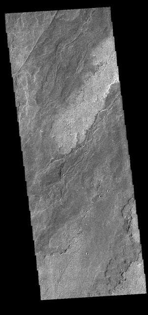 NASA image: Daedalia Planum