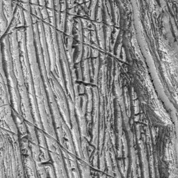 NASA image: Europa's Surface: Up-Close Topography
