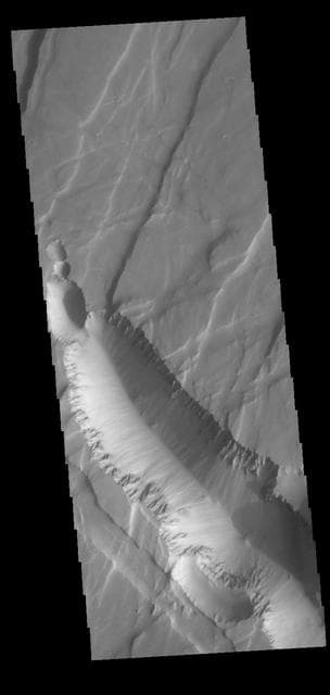 NASA image: Claritas Fossae