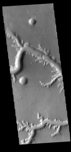 NASA image: Nirgal Vallis