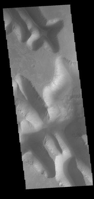 NASA image: Louros Valles