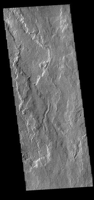 NASA image: Tithonium Chasma