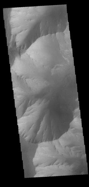 NASA image: Melas Chasma Cliffs
