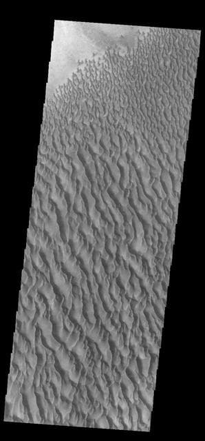 NASA image: Proctor Crater Dunes