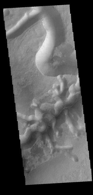 NASA image: Echus Chasma Mega-gully