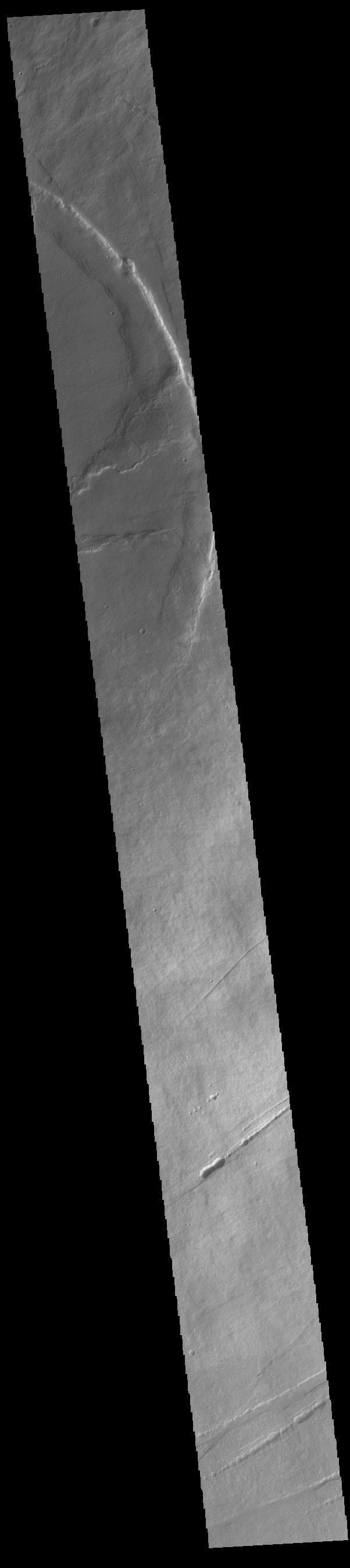 NASA image: Pavonis Mons